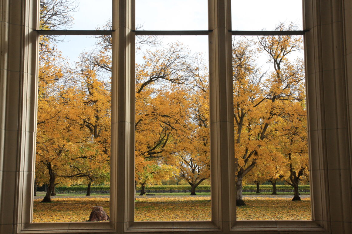 autumn trees seen through Church stone lattice window